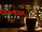 Bodog