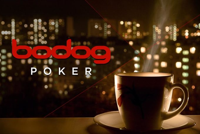 Bodog