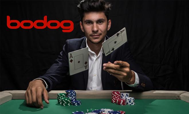 Bodog: Comportamento