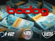 Bodog