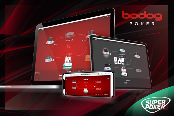 Bodog