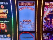 Jackpot foi atingido na máquina Buffalo Grand e rendeu US$ 1,2 milhão